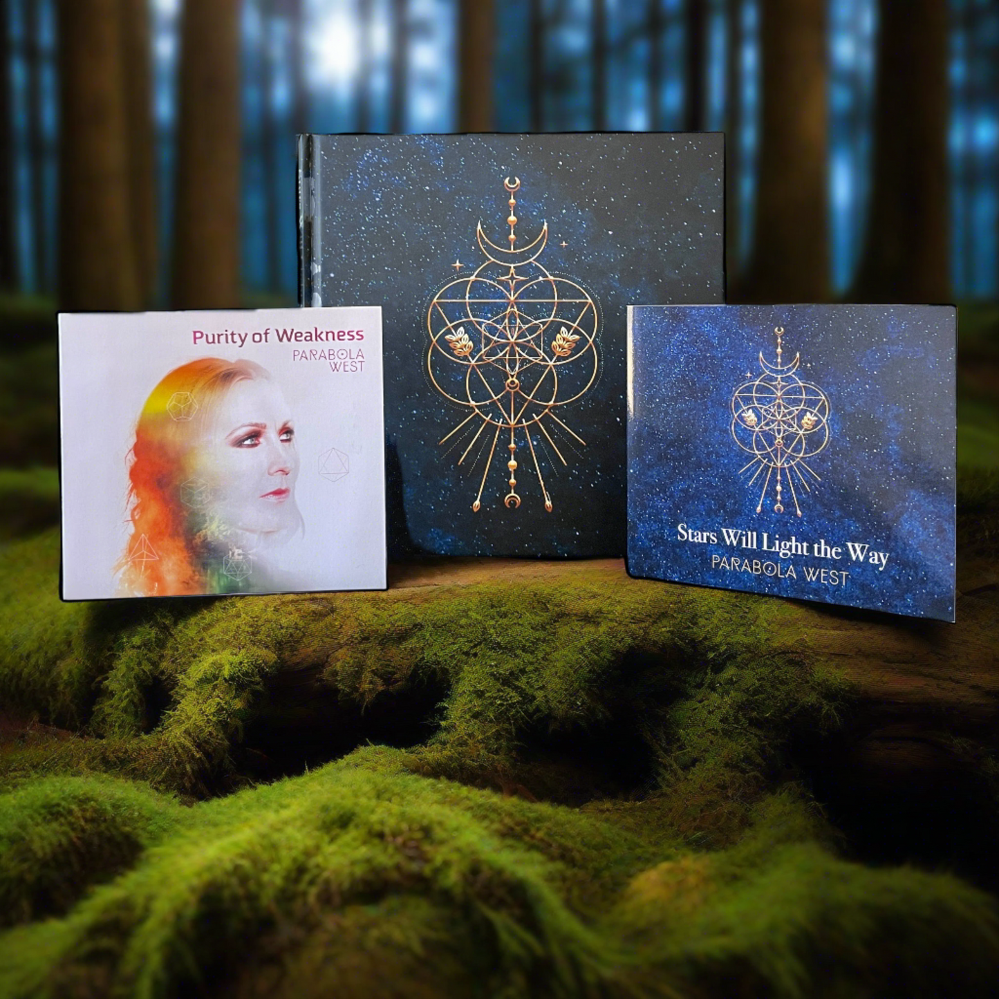 Stars Will Light the Way Deluxe Album Book