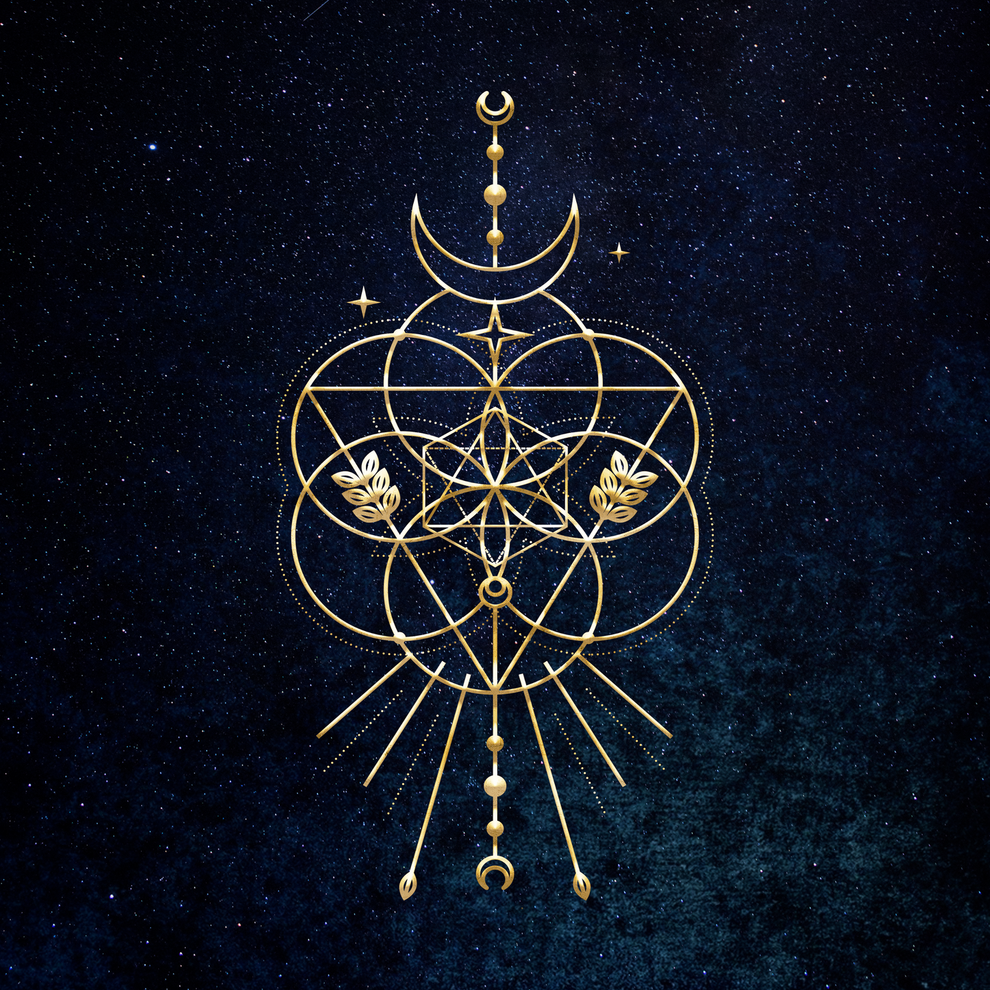 Digital Deluxe 'Stars Will Light the Way' Album