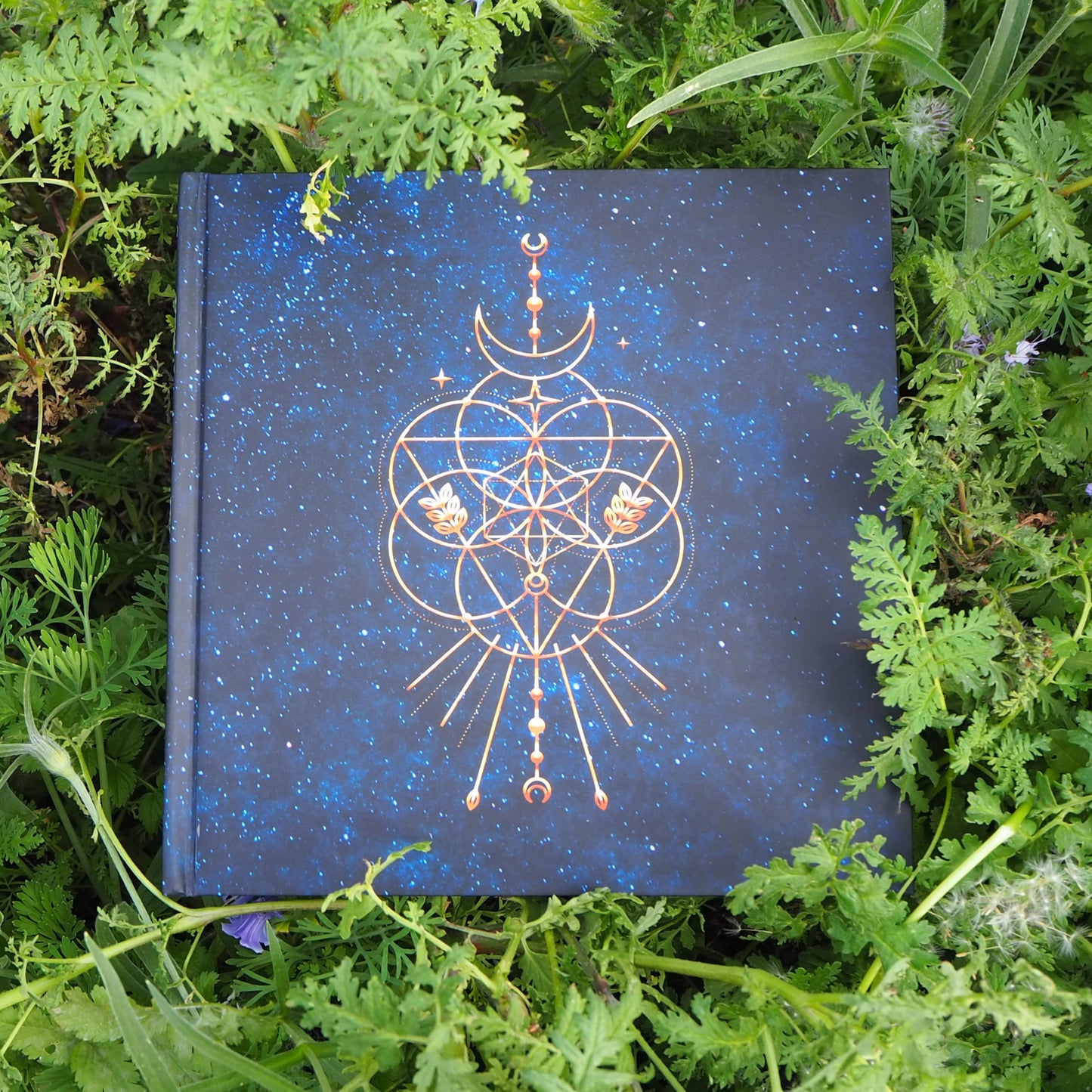 Stars Will Light the Way Deluxe Album Book (Limited Edition)