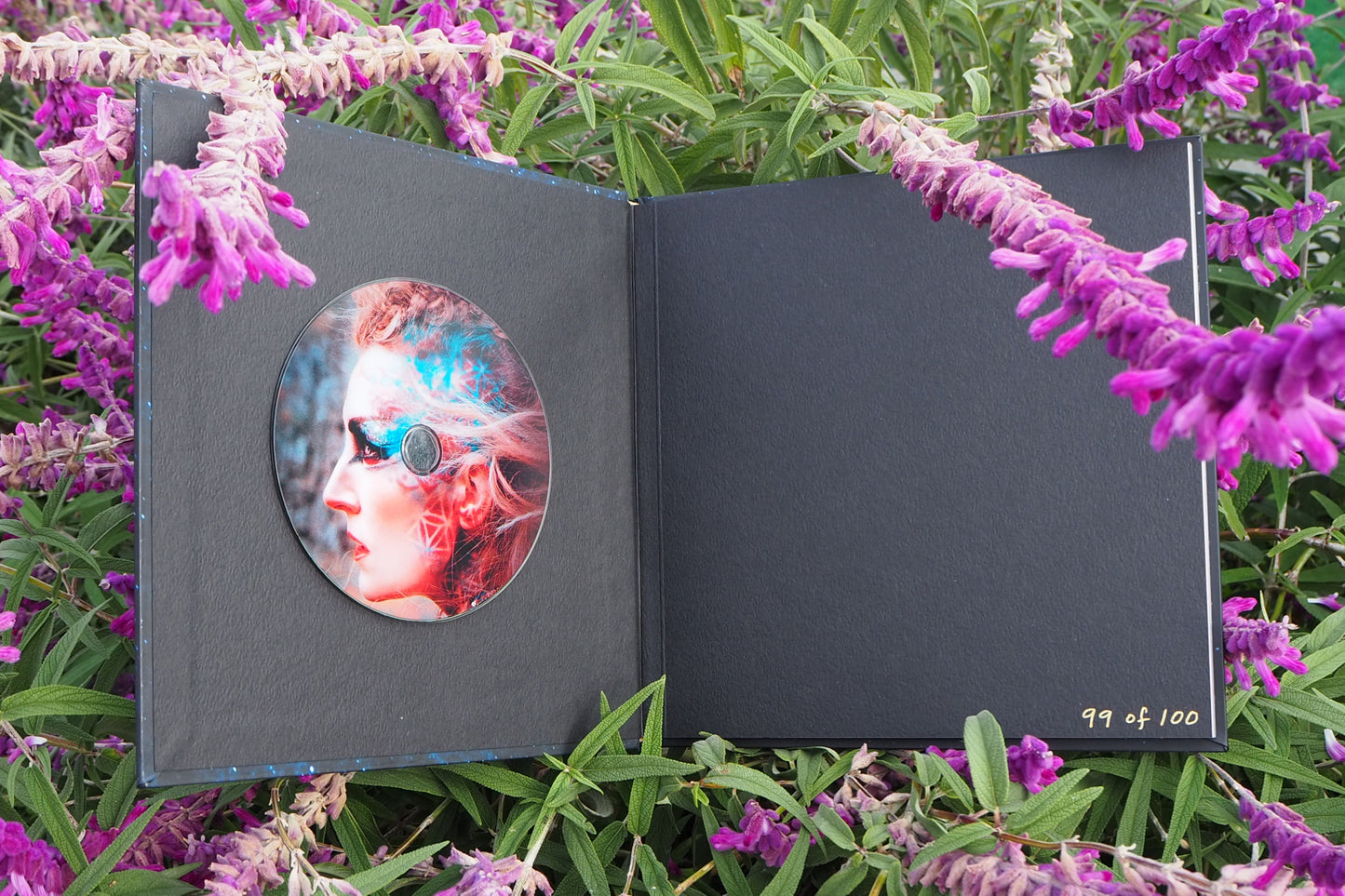 Stars Will Light the Way Deluxe Album Book (Limited Edition)