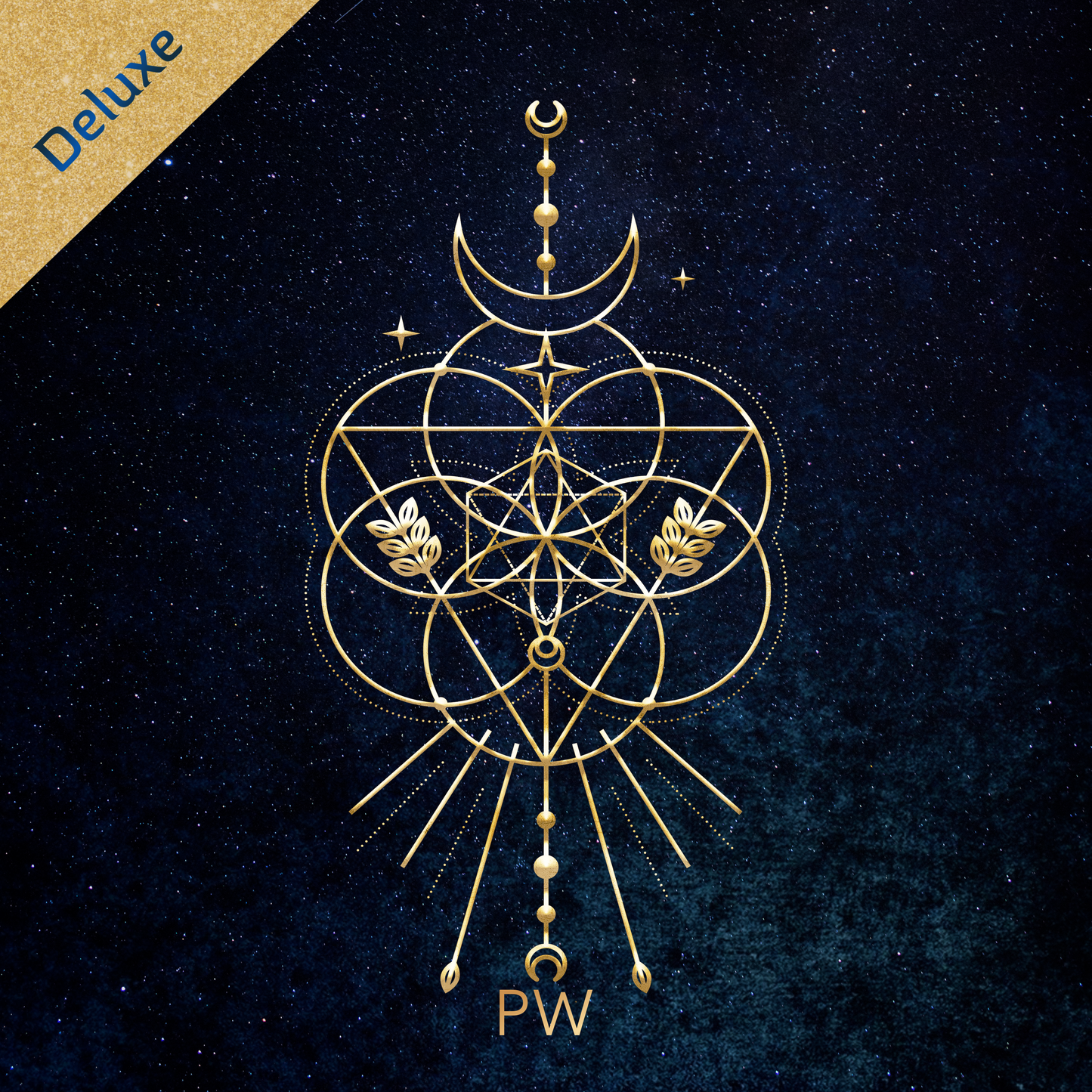 Digital Deluxe 'Stars Will Light the Way' Album